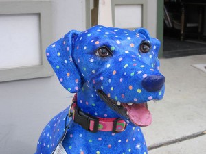 blue-dogs