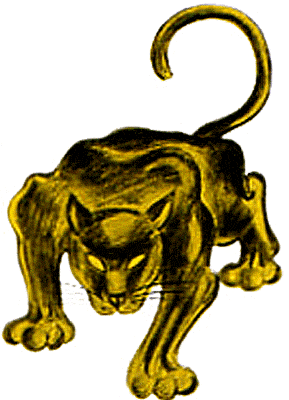 Golden Panther on the prowl with tail up, 1955-1965