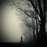The (Silent) Road